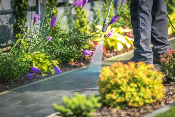 Best Restaurant Pressure Washing  in Sherwood, OR