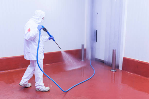 Best Pre-Holiday Cleaning  in Sherwood, OR